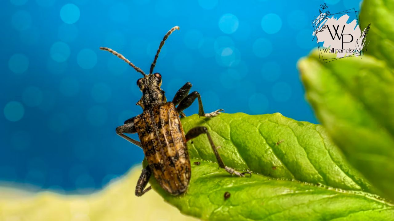 How Do We Fix the Problems with Pest Management