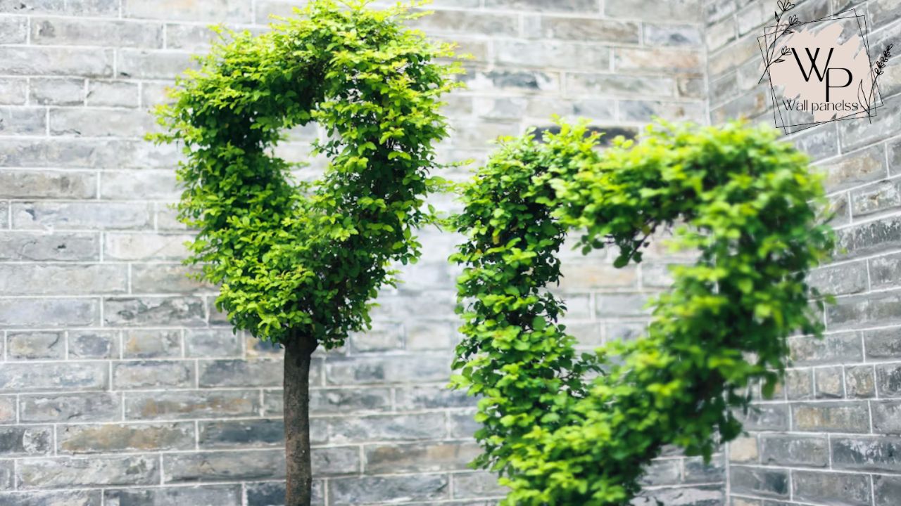 Trees, Shrubs, and Vines A Guide to Green Elegance